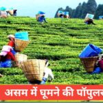 assam me ghumne ki jagah top 5 – travel guide by lakshay meena assam me ghumne ki jagah