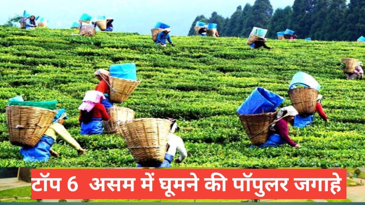 assam me ghumne ki jagah